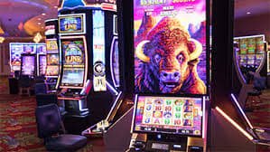 9d bet casino