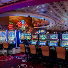 9d bet casino