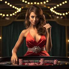 9d bet casino